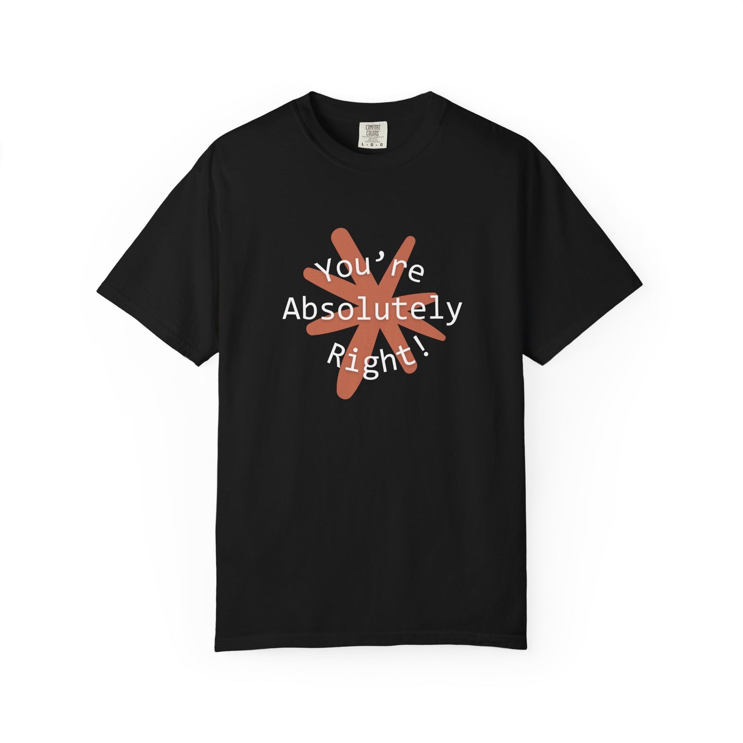 "You're Absolutely Right" Claude AI meme t-shirt, Black, flat lay front